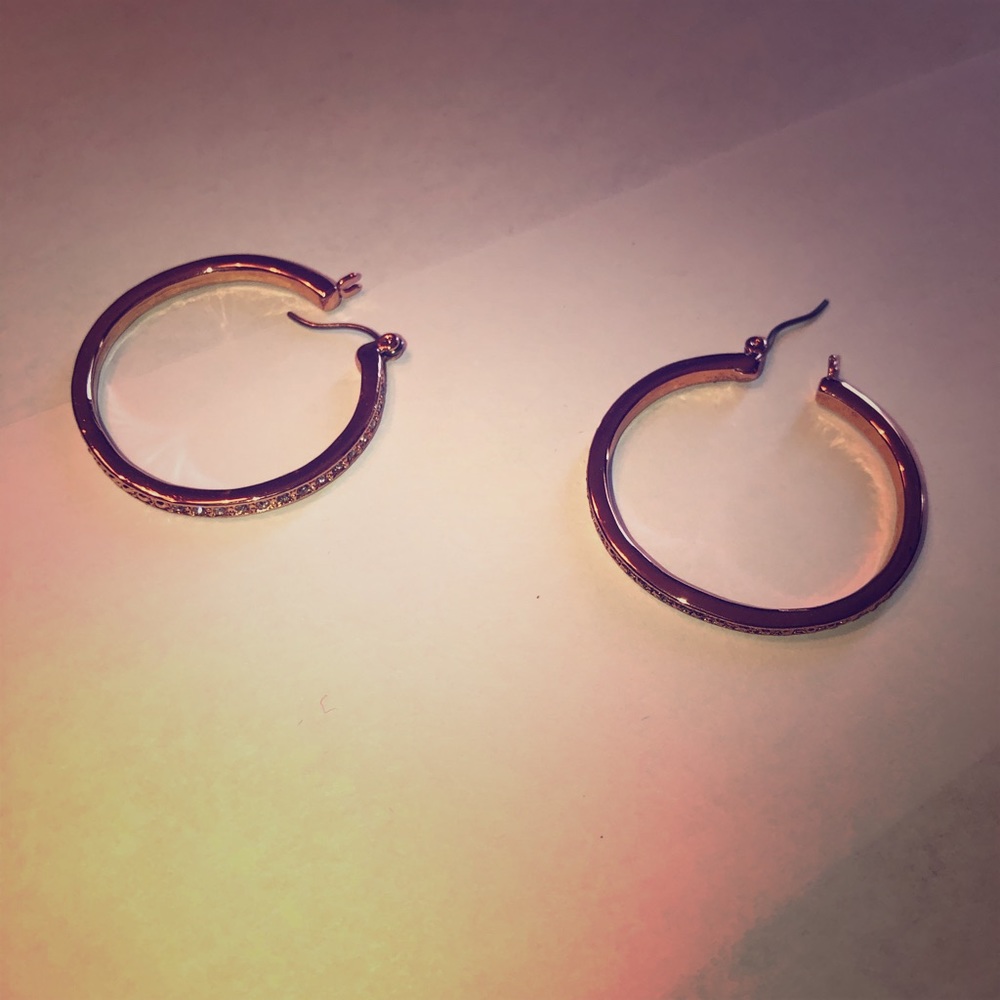 Earrings with Chrystal accents